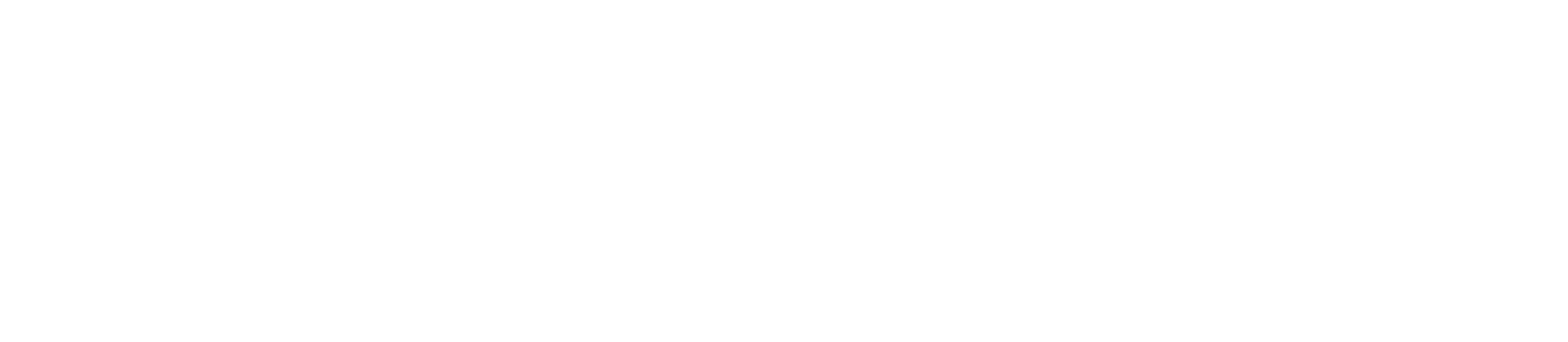 Webtaktik